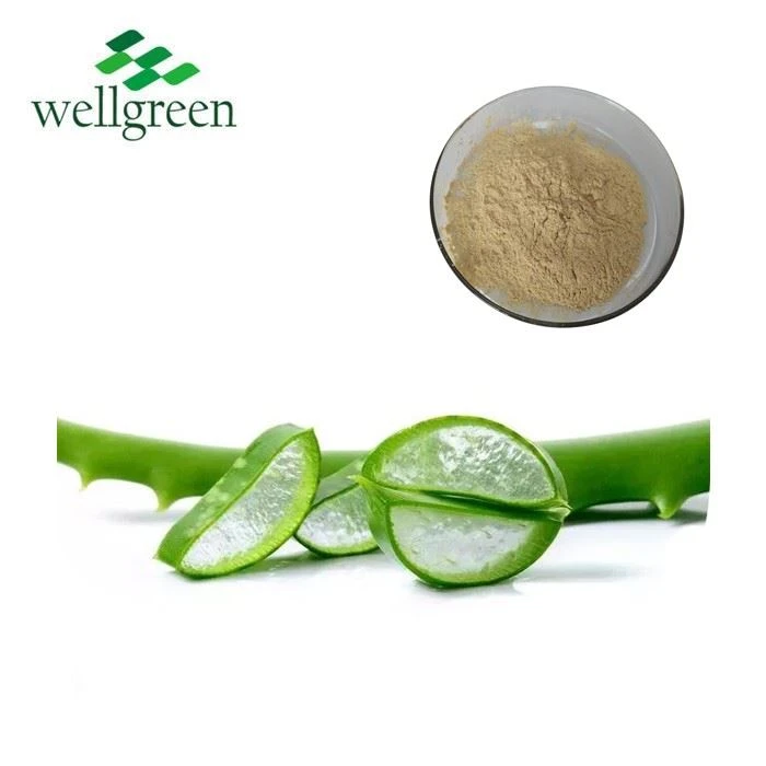 Freeze Dried Aloe Vera Powder