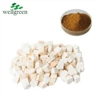 Poria Cocos Extract