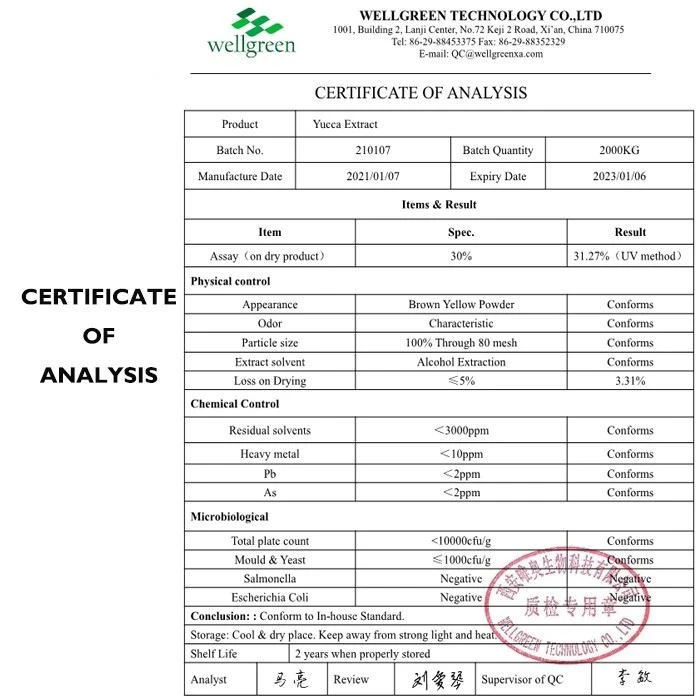 Yucca Extract Powder